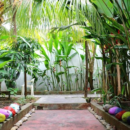 Albergue The Amazon Within Iquitos Exterior foto